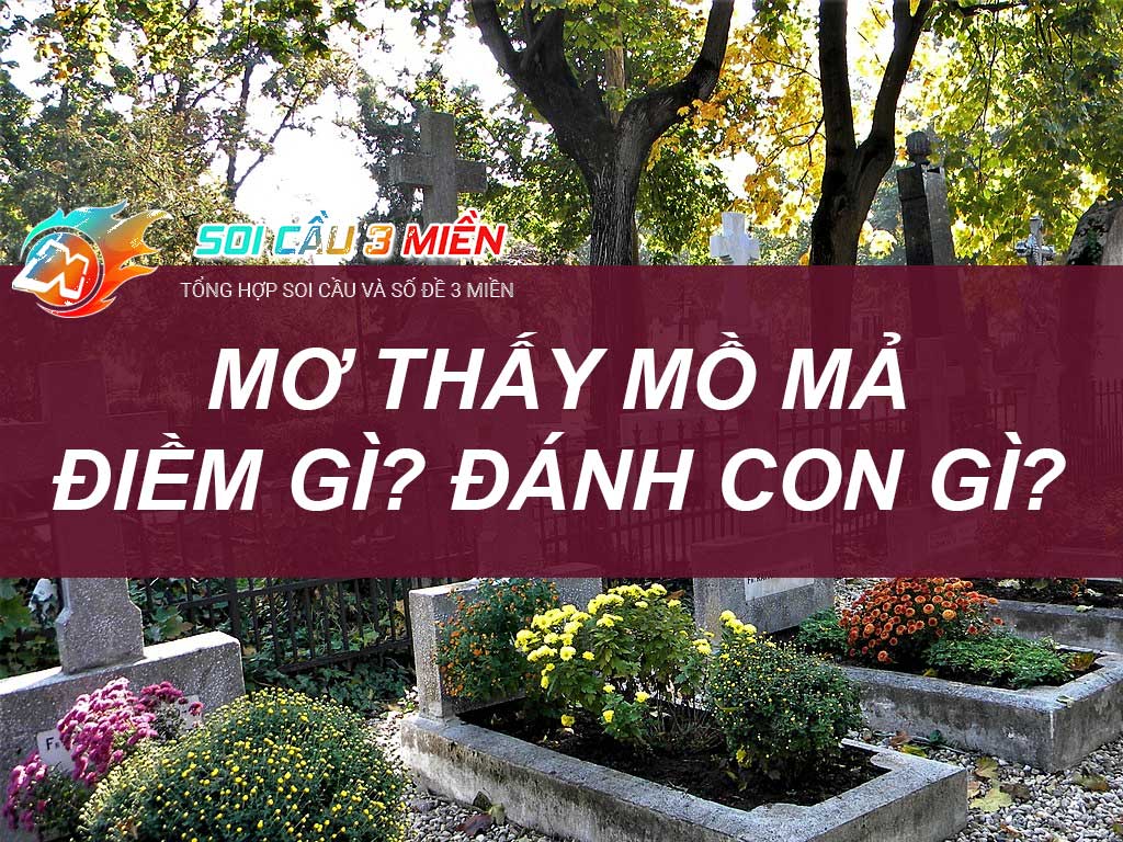 Mo Thay Mo Ma Nghia Trang Diem Gi Danh Con Gi