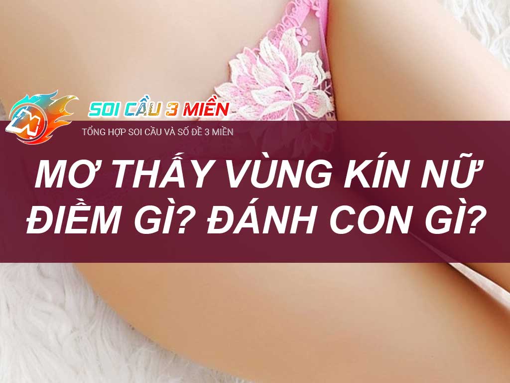 Mo Thay Vung Kin Diem Gi Danh Con Gi